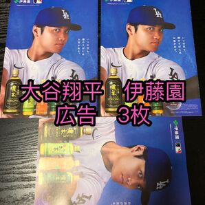 大谷翔平 伊藤園 おーいお茶 広告 3点セット 冊子の裏表紙 非売品