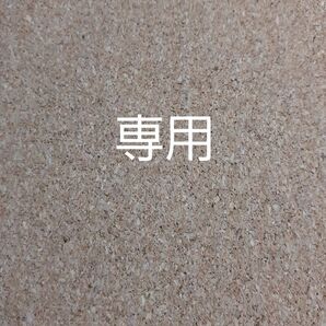 びょる様専用/デコパーツ