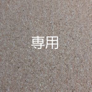 えすちゃん様専用/デコパーツ