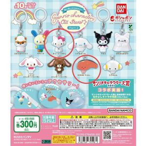 めじるしアクセサリー サンリオキャラクターズ sanrio チャーミーキティ KIRIMIちゃん ガチャ
