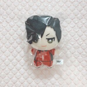 ハイキュー 黒尾鉄朗 ちみっともぬい ①