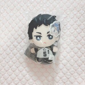 ハイキュー 赤葦京治 ちみっともぬい