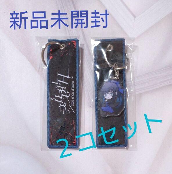 Ado Hibana★大和撫子しゃらんしゃらんアドちゃん世界旅行タグ★キーホルダー×2コセット♪