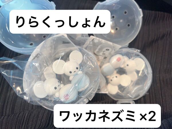 ポケモンおうちで!りらくっしょん ワッカネズミ×2