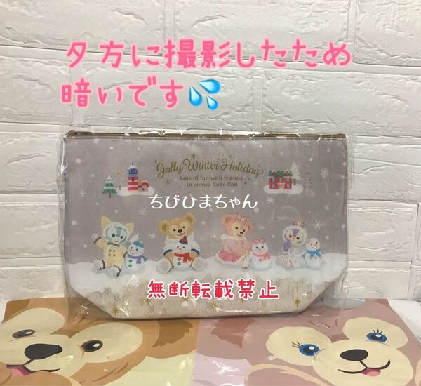 ディズニーシー★ダッフィー&フレンズ☆ウィンターホリデー スーベニアランチケース★ランチバッグ 保冷バッグ