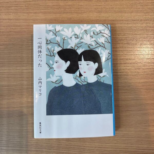 一心同体だった (集英社文庫 や52-3) 山内マリコ/著
