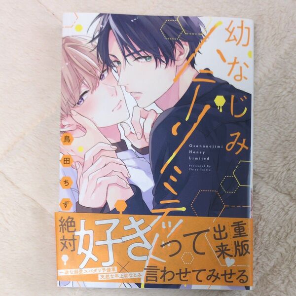 幼なじみハニーメゾット 定価700円 タカラとびいどろ 定価869円
