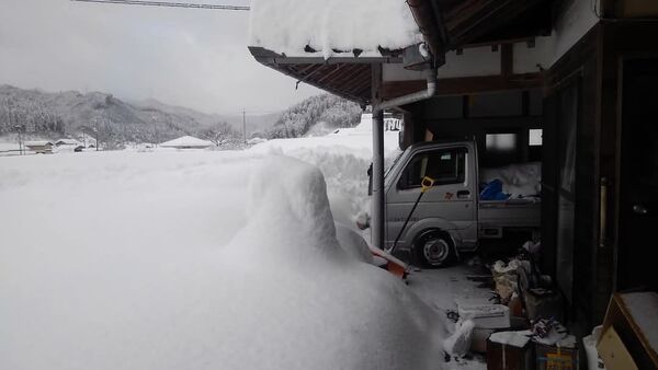 コシヒカリ 岡山県産 令和6年度 20kg 5kg×4