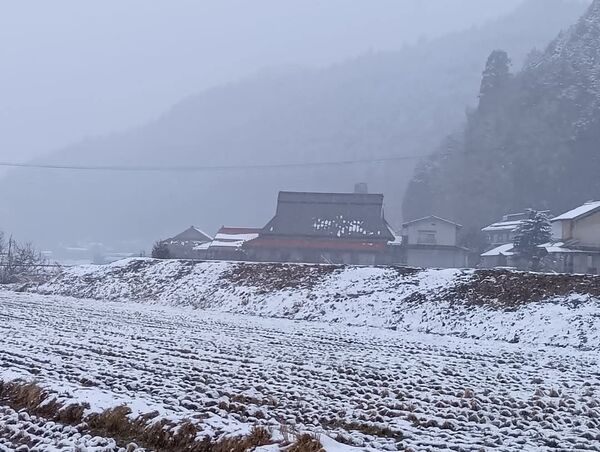コシヒカリ 令和6年産 岡山県 10キロ