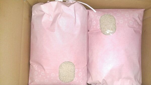 ヒメノモチ餅米 5kg×2袋 岡山県産 令和6年度産