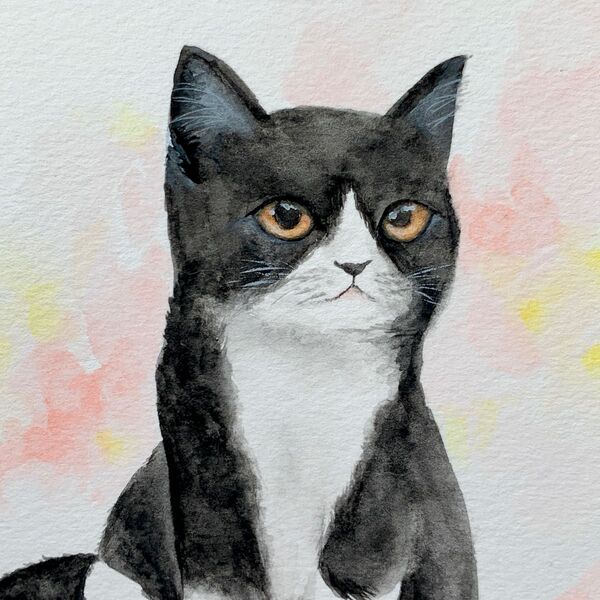 はちわれ猫 水彩画 イラスト