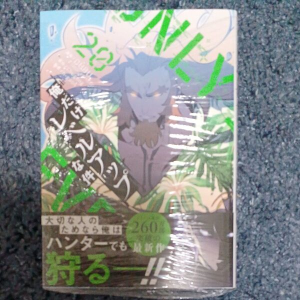俺だけレベルアップな件 20 (MFC) DUBU/漫画 Chugong/原作 h‐goon/脚色