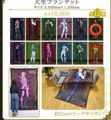 ジョジョの奇妙な冒険 花京院典明 大型ブランケット JOJO WORLD2