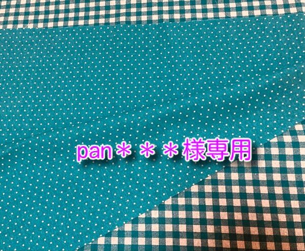 綿麻キャンバス リバーシブル ドット/チェック ターコイズブルー