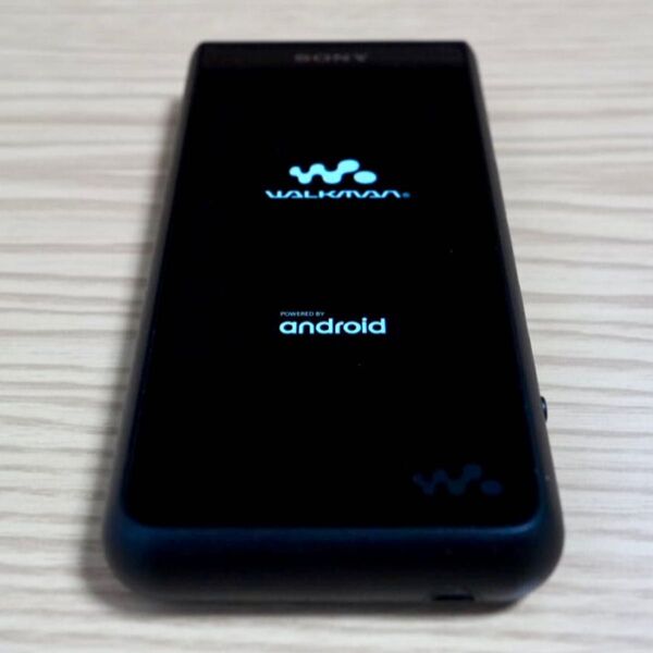 WALKMAN ZXシリーズ NW-ZX500シリーズ NW-ZX507(B)