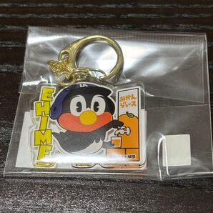 【即発送・新品未使用】ご当地つば九郎キーホルダー(愛媛県)