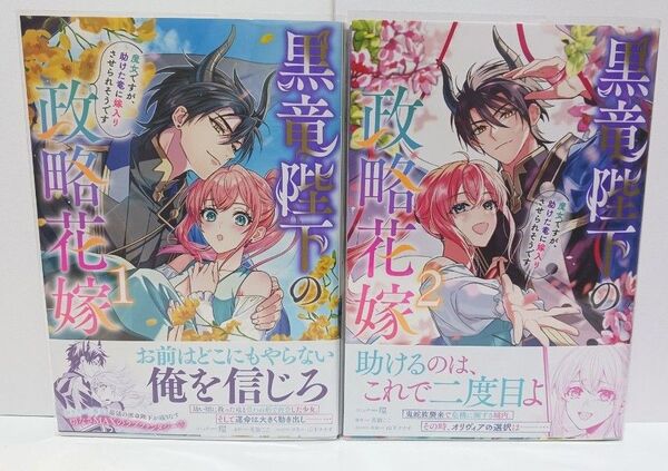 黒竜陛下の政略花嫁 魔女ですが、助けた竜に嫁入りさせられそうです 全巻(完結)