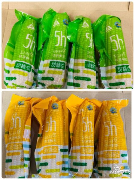 糯玉米棒 モチとうもろこし 軸付き糯玉米 10本セット