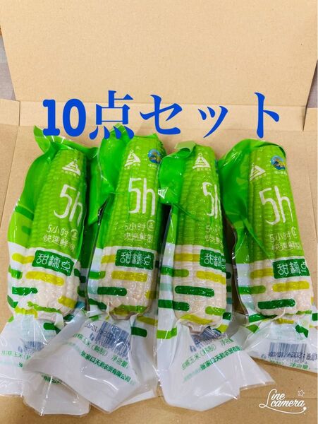 糯玉米棒 モチとうもろこし 軸付き糯玉米 10本セット