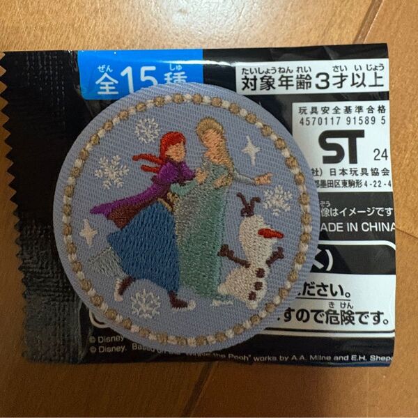 ディズニー 刺繍缶バッジ バンダイ 再販 アナ雪 エルサ アナ アナと雪の女王