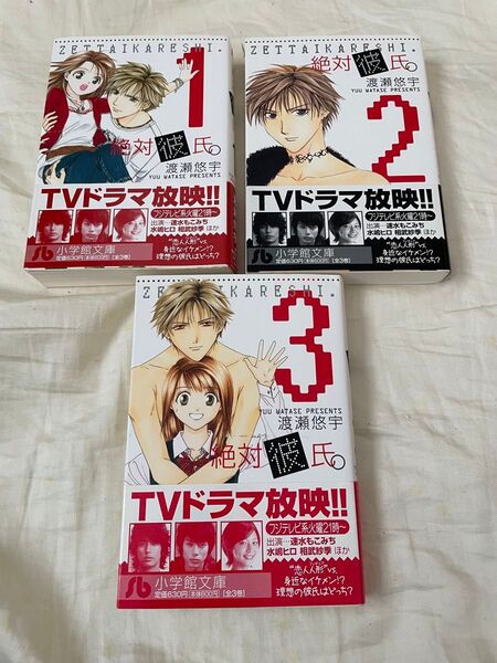 絶対彼氏。1〜3巻全巻セット文庫版 漫画