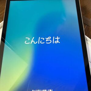 未使用 iPad Apple Wi-Fi Cellular