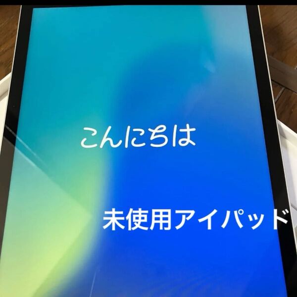 未使用 iPad Apple Wi-Fi Cellular