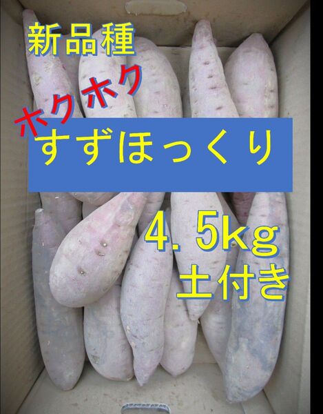農家直送新品種すずほっくり土付き4.5kg
