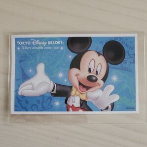 ディズニーチケット スポンサーパスポート