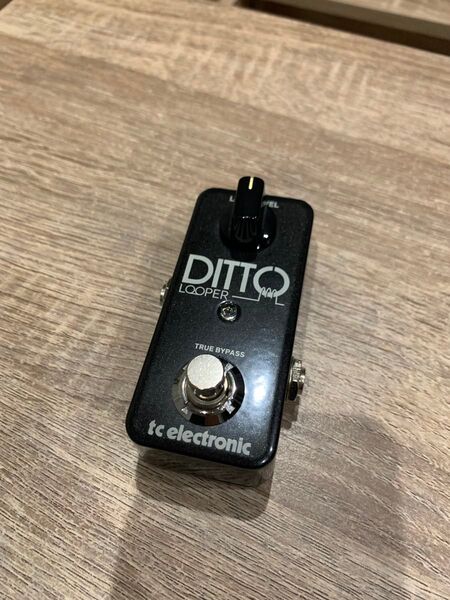 tc electronic DITTO Looper