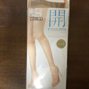 アスティーグ アツギ オープントウ