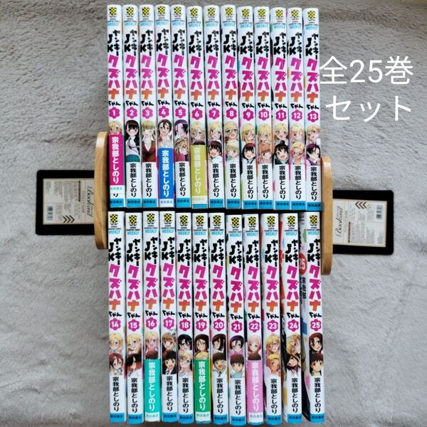 【人気作品】ヤンキーJKクズハナちゃん 既刊全25巻セット
