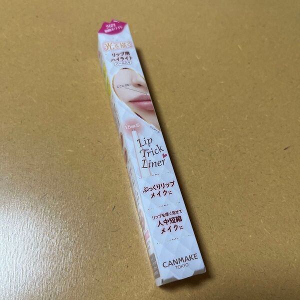 キャンメイク リップトリックライナーH01