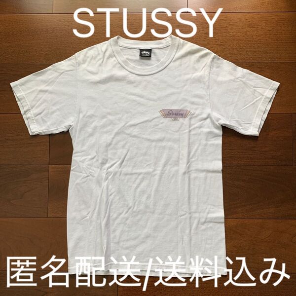STUSSY ステューシー Tシャツ ビッグロゴ フォト ショーンフォント