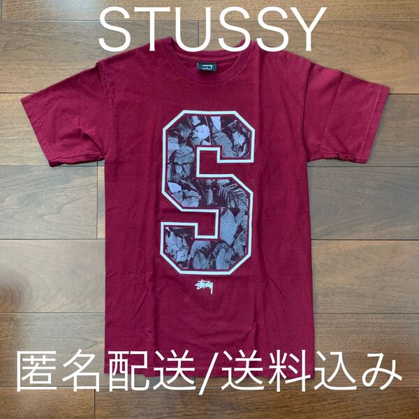 STUSSY ステューシー Tシャツ エンジ ビッグロゴ ショーンフォント SS link ラスタ フォト オールド