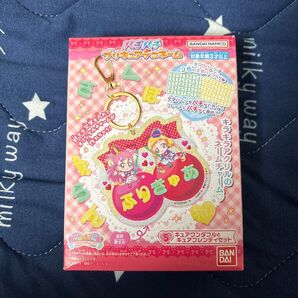 パチパチプリキュアデコネーム キュアワンダフル&キュアフレンディセット