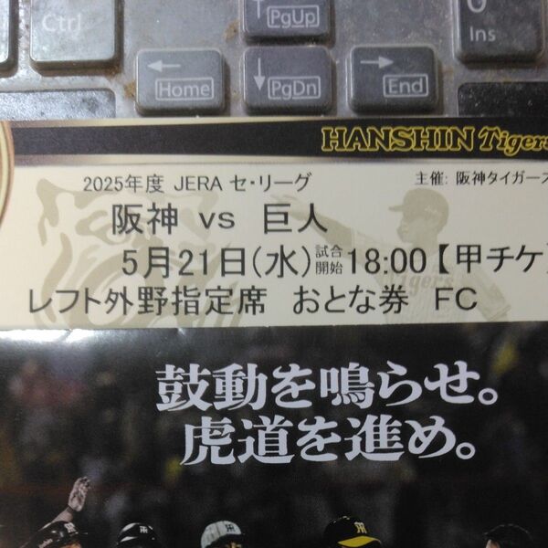 5/21 阪神タイガースvs巨人 レフト外野指定席 甲子園球場 横通路側から2席目