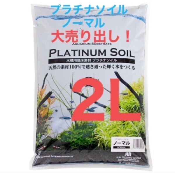 junプラチナソイルノーマルブラック2L小分け