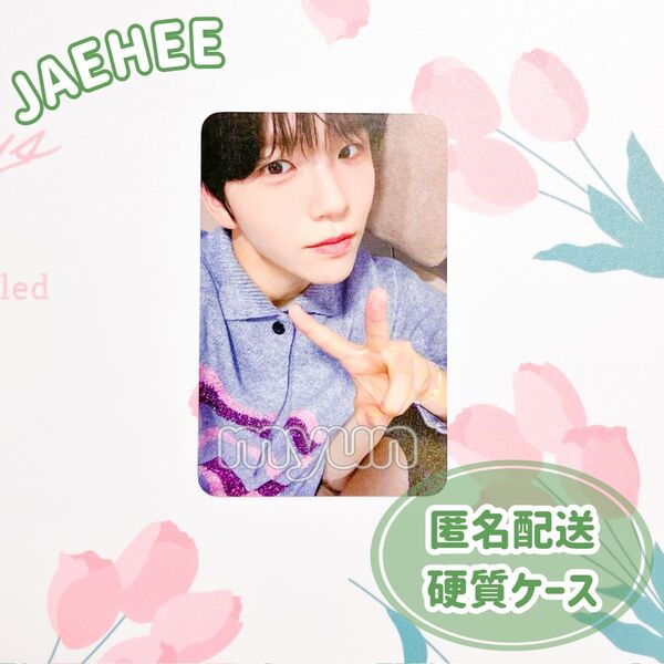 NCT WISH ジェヒ withmuu トレカ