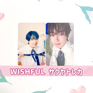 NCT WISH サクヤ Wishful トレカ 2枚