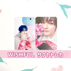 NCT WISH サクヤ Wishful トレカ 2枚