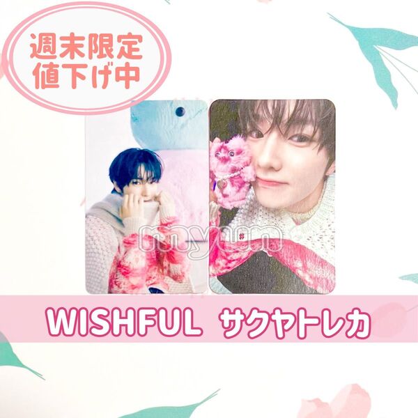 NCT WISH サクヤ WISHFUL トレカ 2枚