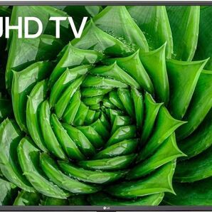 2021年製 LG 43V型 4Kチューナー内蔵 液晶テレビ 43UN8100