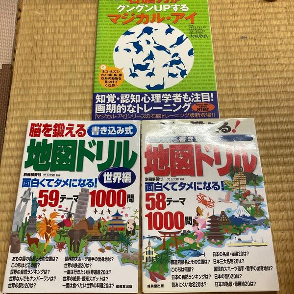大人のドリル3冊セット書き込み式地図ドリル世界編 日本右脳力マジカルアイ知覚認知心理学認知症予防暇つぶし脳トレ脳活パズル未使用