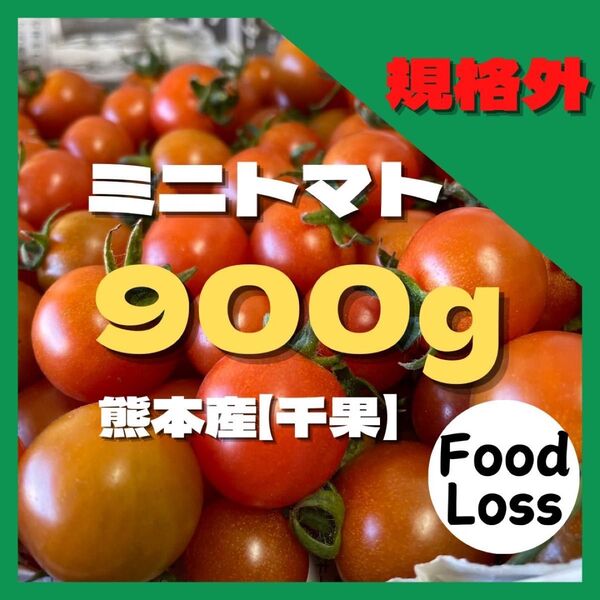 ミニトマト 900gフードロス 野菜 熊本産 規格外 訳あり 安い ミネラル