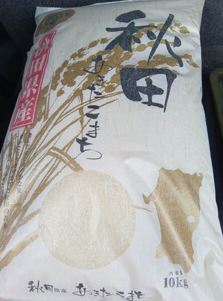 秋田産 あきたこまち 令和6年度米 今年5月精米 10キロ