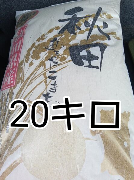 秋田産 あきたこまち 令和6年度米 今年5月精米 20キロ