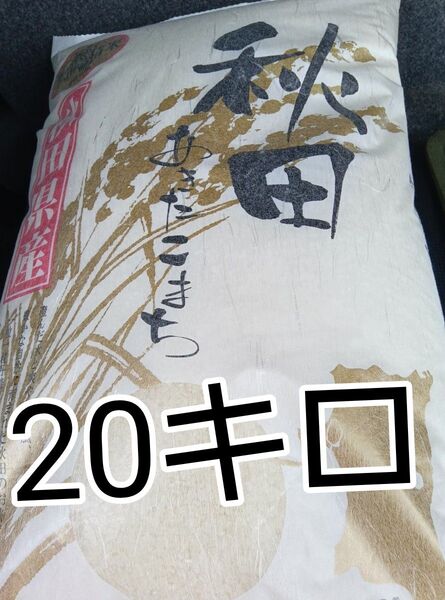 秋田産 あきたこまち 令和6年度米 今年5月精米 20キロ
