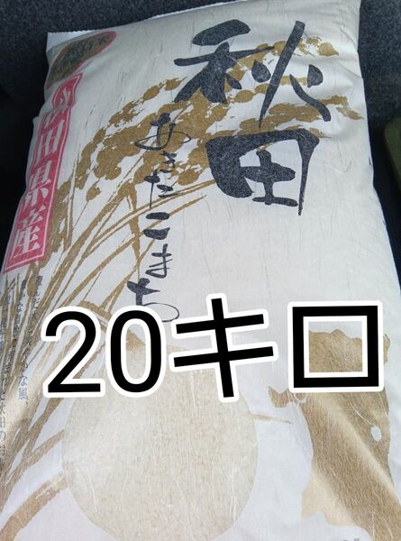 秋田産 あきたこまち 令和6年度米 今年5月精米 20キロ