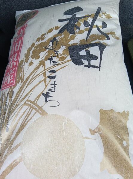 秋田産 あきたこまち 令和6年度米 今年5月精米 20キロ